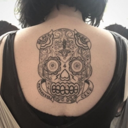 12912289_855056757954828_505516563_n