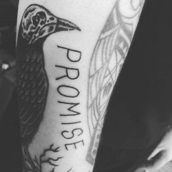 13258958_487634678089131_792712444_n