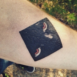 11326517_435807539936332_610498886_n