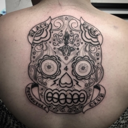 11377770_873617832708211_1936880954_n